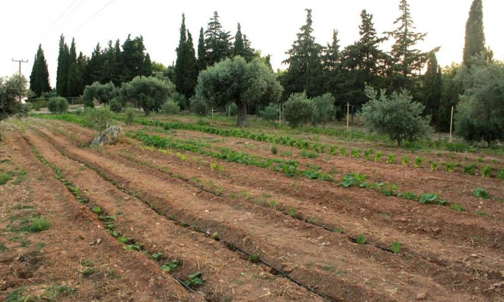 Άγριος καυγάς στο Ρέθυμνο για τα χωράφια - Ένας 34χρονος χτύπησε 40χρονο με φτυάρι